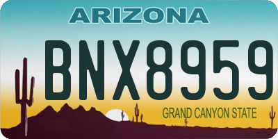AZ license plate BNX8959