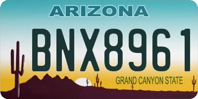 AZ license plate BNX8961