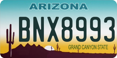 AZ license plate BNX8993