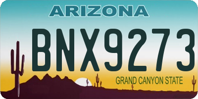 AZ license plate BNX9273
