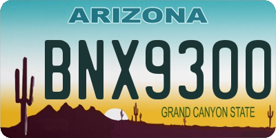AZ license plate BNX9300