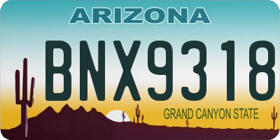 AZ license plate BNX9318