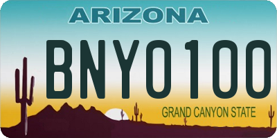 AZ license plate BNY0100