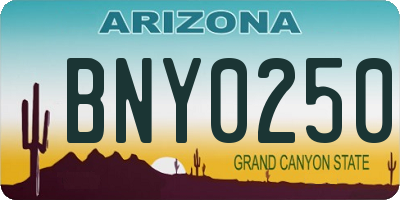 AZ license plate BNY0250