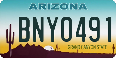 AZ license plate BNY0491