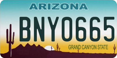 AZ license plate BNY0665