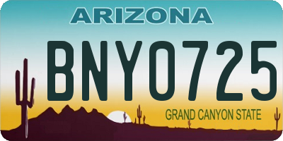 AZ license plate BNY0725