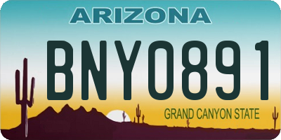 AZ license plate BNY0891