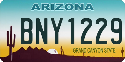 AZ license plate BNY1229