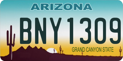AZ license plate BNY1309