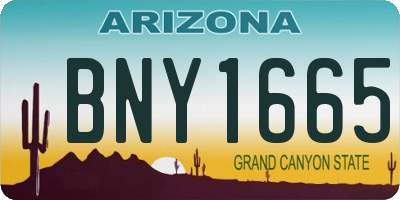 AZ license plate BNY1665