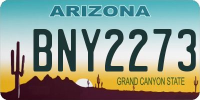 AZ license plate BNY2273