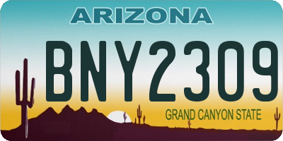AZ license plate BNY2309