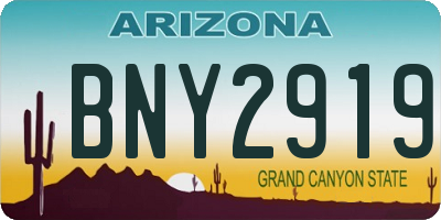 AZ license plate BNY2919