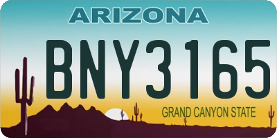 AZ license plate BNY3165