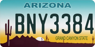 AZ license plate BNY3384