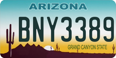 AZ license plate BNY3389