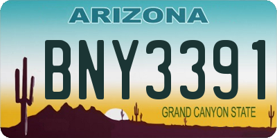 AZ license plate BNY3391