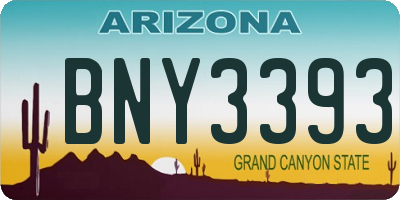 AZ license plate BNY3393