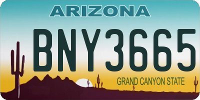 AZ license plate BNY3665