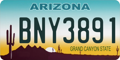 AZ license plate BNY3891