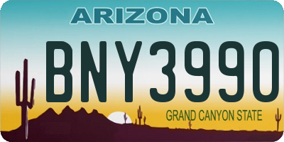 AZ license plate BNY3990