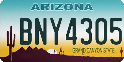 AZ license plate BNY4305