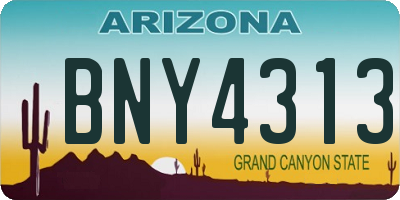 AZ license plate BNY4313