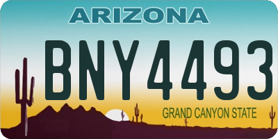 AZ license plate BNY4493