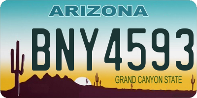 AZ license plate BNY4593