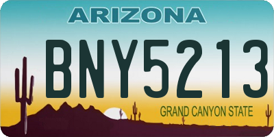 AZ license plate BNY5213