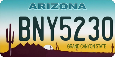AZ license plate BNY5230