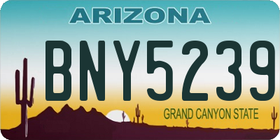 AZ license plate BNY5239