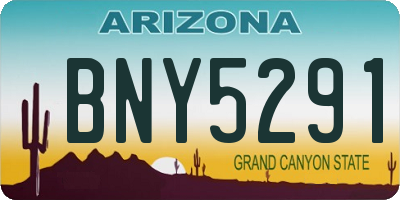 AZ license plate BNY5291