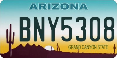 AZ license plate BNY5308
