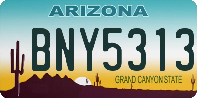 AZ license plate BNY5313