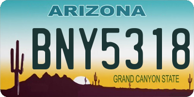 AZ license plate BNY5318