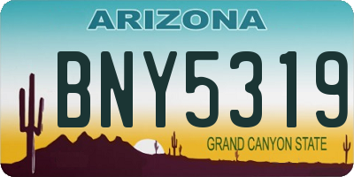 AZ license plate BNY5319