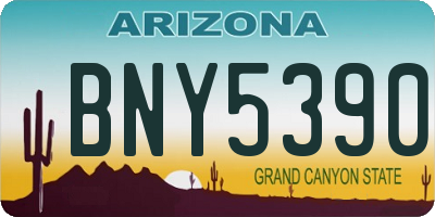 AZ license plate BNY5390