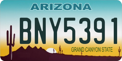AZ license plate BNY5391