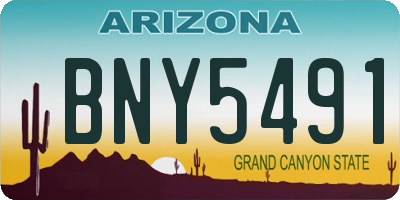 AZ license plate BNY5491