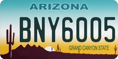 AZ license plate BNY6005