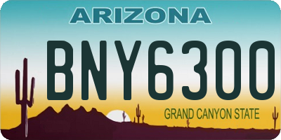 AZ license plate BNY6300