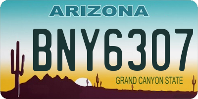 AZ license plate BNY6307