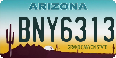 AZ license plate BNY6313