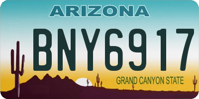 AZ license plate BNY6917