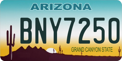 AZ license plate BNY7250