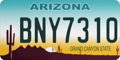 AZ license plate BNY7310