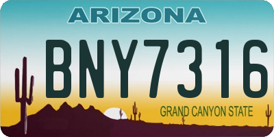 AZ license plate BNY7316