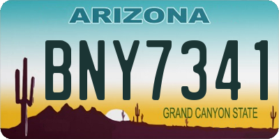 AZ license plate BNY7341